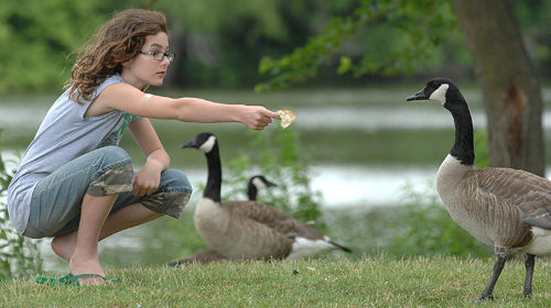 Spend some time at one of Bloomington-Normal's many parks